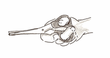 KWB22
